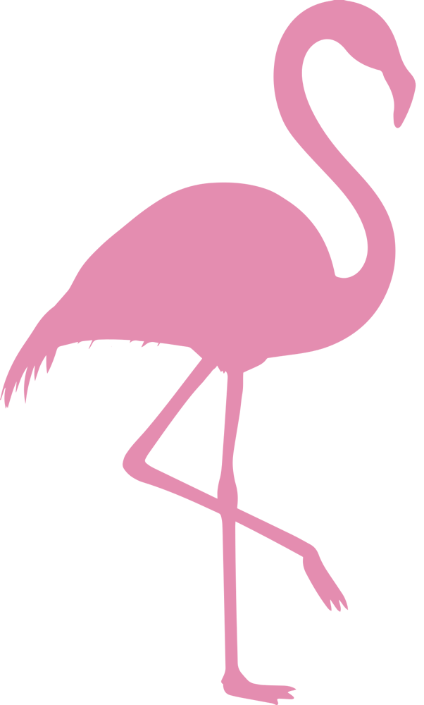 kj-nutt-flamingo-mascot