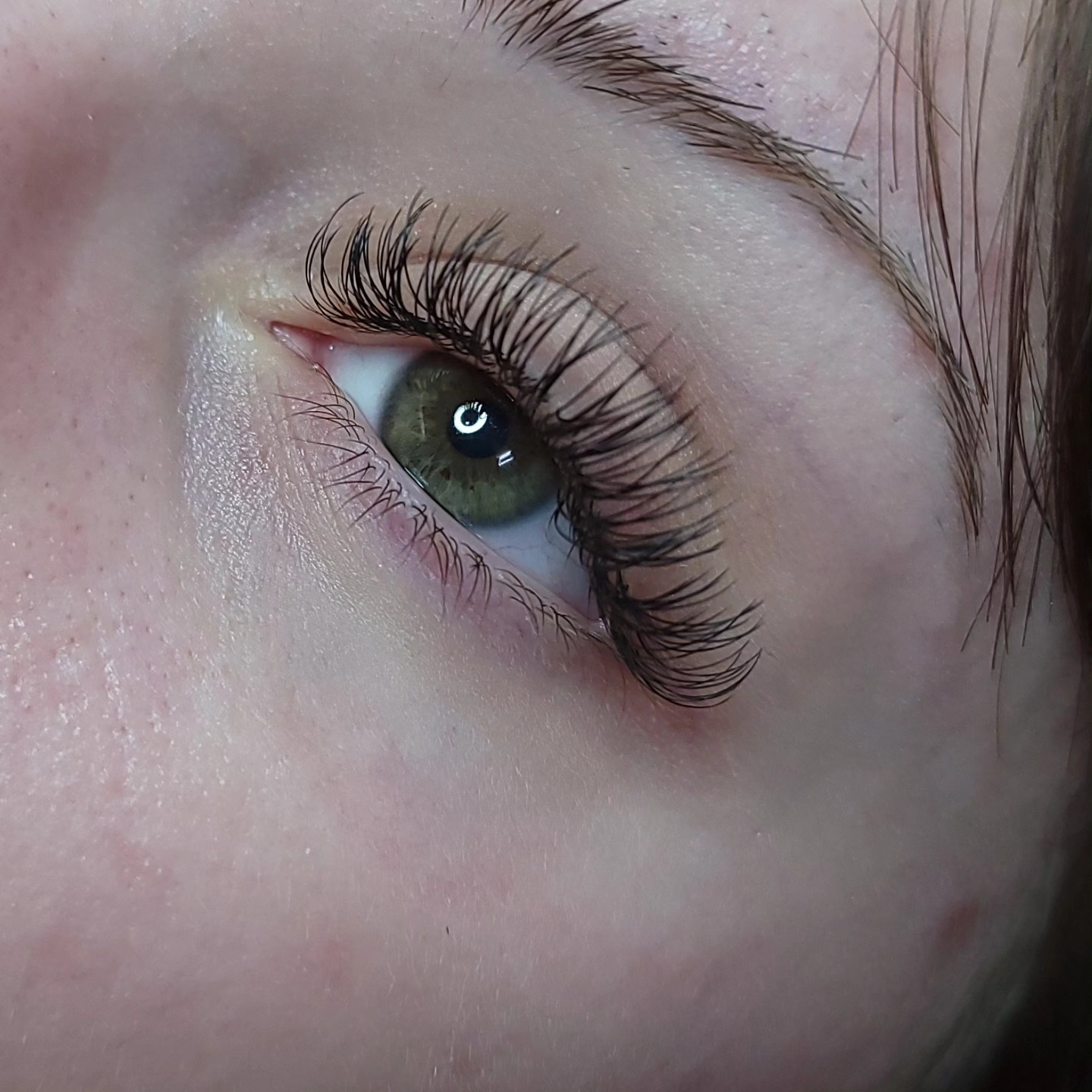 LAshes